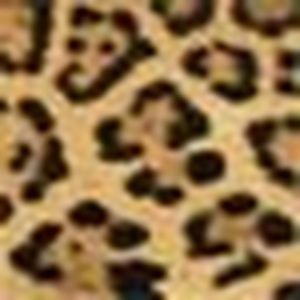 Meet your Posher, Anne